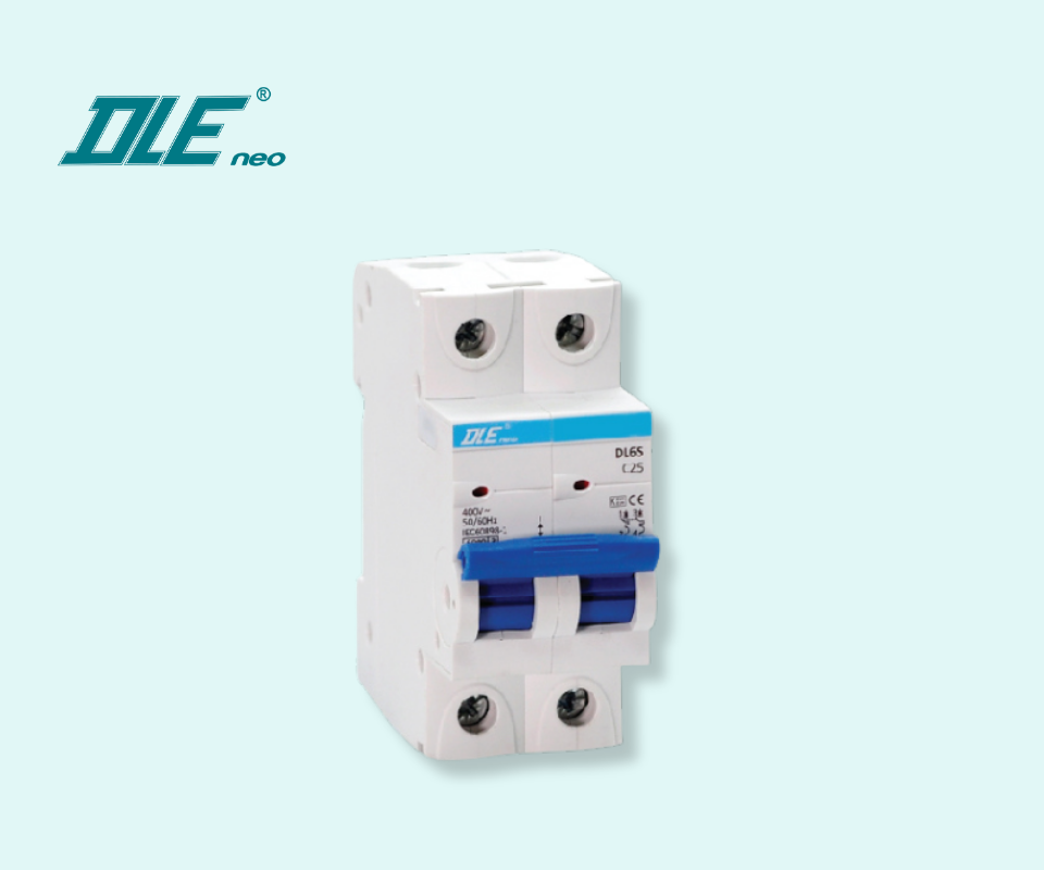 Aptomat 2 cực DL6S